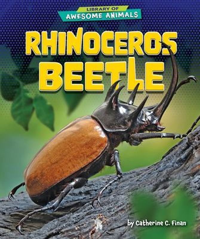 Rhinoceros Beetle