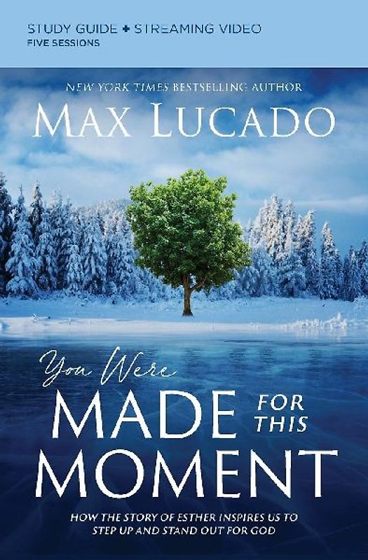 You Were Made for This Moment Bible Study Guide plus Streaming Video | Softcover
