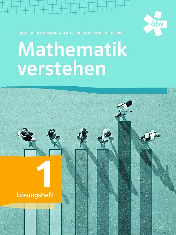 Mathematik verstehen 1, Lösungen