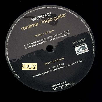 RORAIMA-LOGIC GUITAR