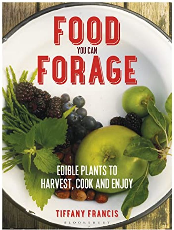 Food You Can Forage: Edible Plants to Harvest, Cook and Enjoy