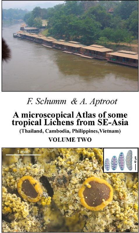 A microscopical Atlas of some tropical Lichens from SE-Asia (Thailand, Cambodia, Philippines, Vietnam) - Volume 2