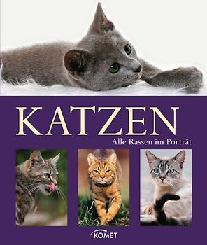 Katzen