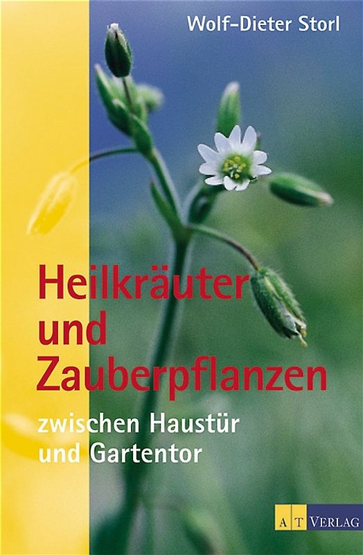 Heilkräuter und Zauberpflanzen zwischen Haustür und Gartentor