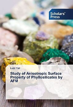 Study of Anisotropic Surface Property of Phyllosilicates by AFM