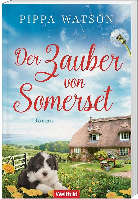 Der Zauber von Somerset
