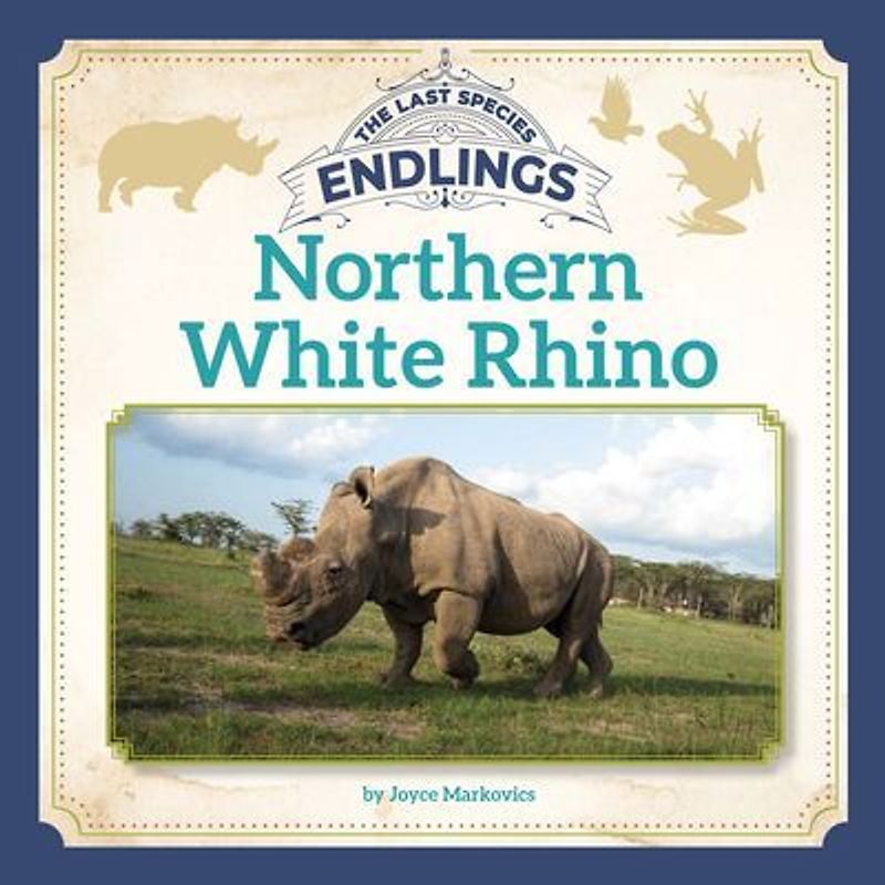 Northern White Rhino