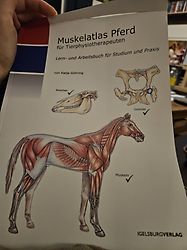 Kundenbild für Muskelatlas Pferd (Softcover)