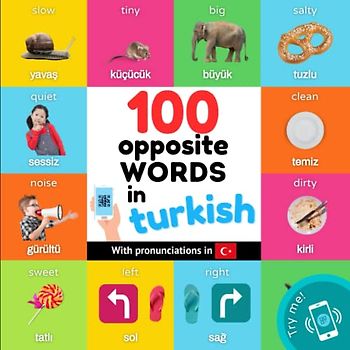 100 opposite words in turkish: Bilingual picture book for kids: english / turkish with pronunciations (Learn Turkish)