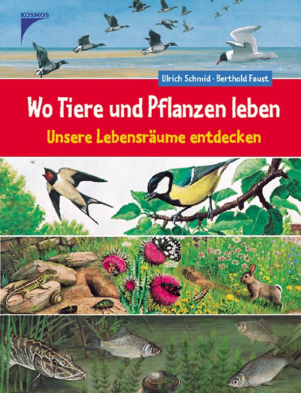 Wo Tiere und Pflanzen leben