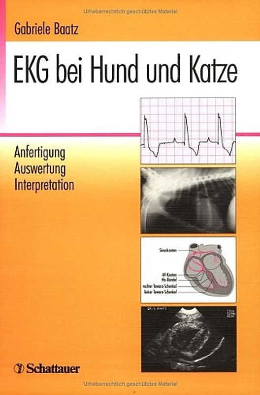EKG bei Hund und Katze