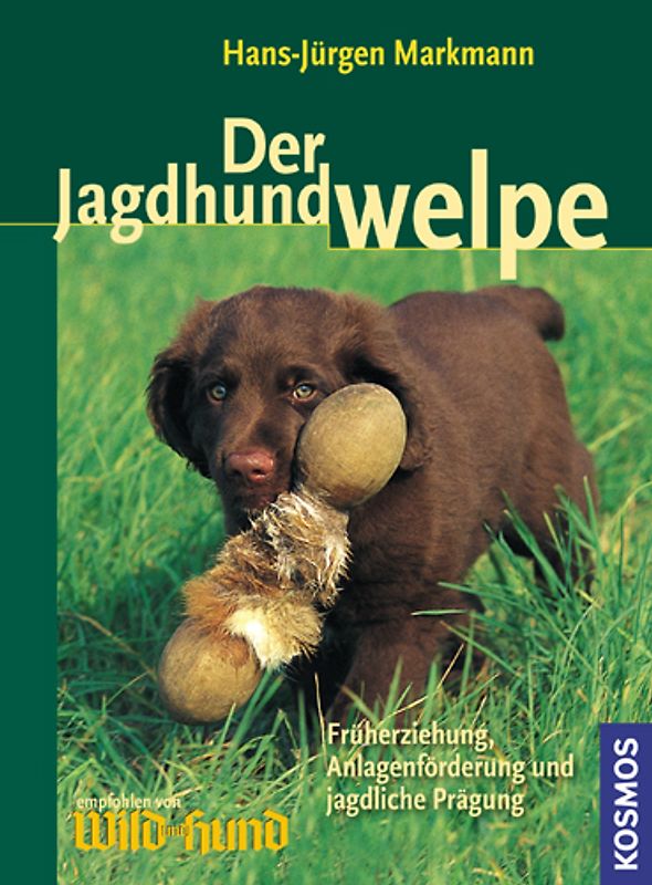Der Jagdhundwelpe