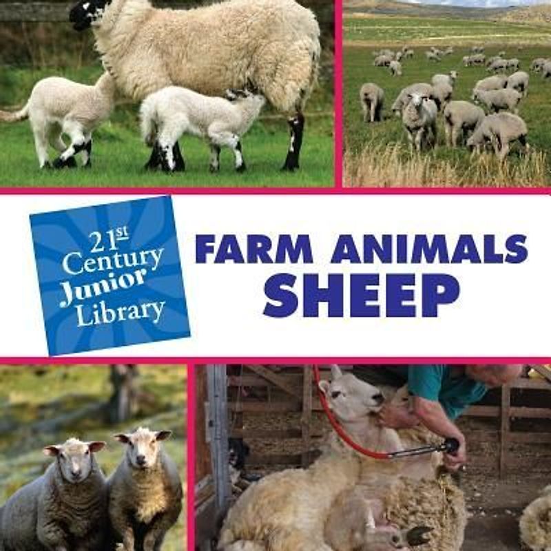 Farm Animals: Sheep