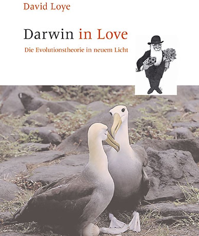 Darwin in love