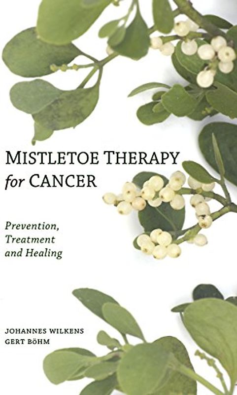 Hineni 2 & 3 Family Companion