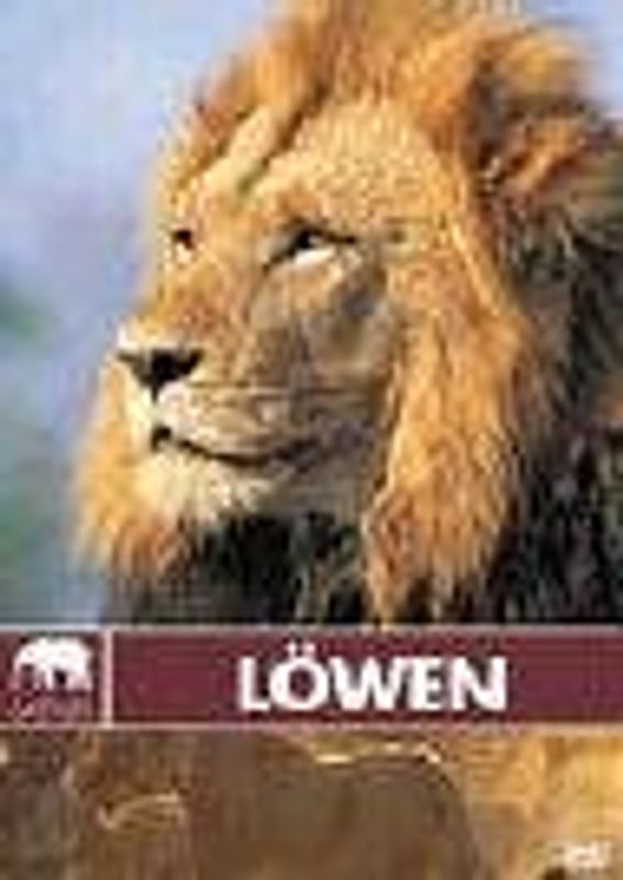 Safari: Löwen DVD