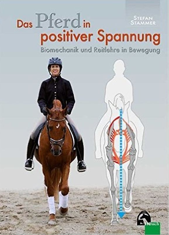 Das Pferd in positiver Spannung