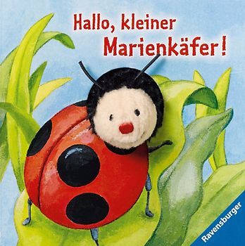 Hallo, kleiner Marienkäfer!