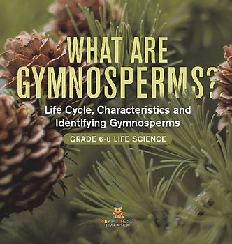 What are Gymnosperms? Life Cycle, Characteristics and Identifying Gymnosperms | Grade 6-8 Life Science
