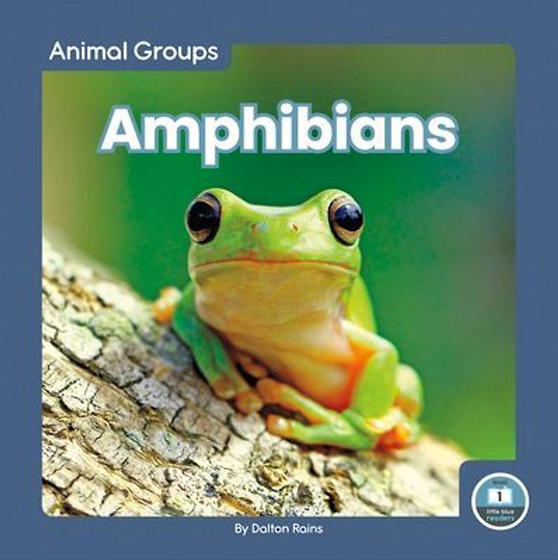 Amphibians