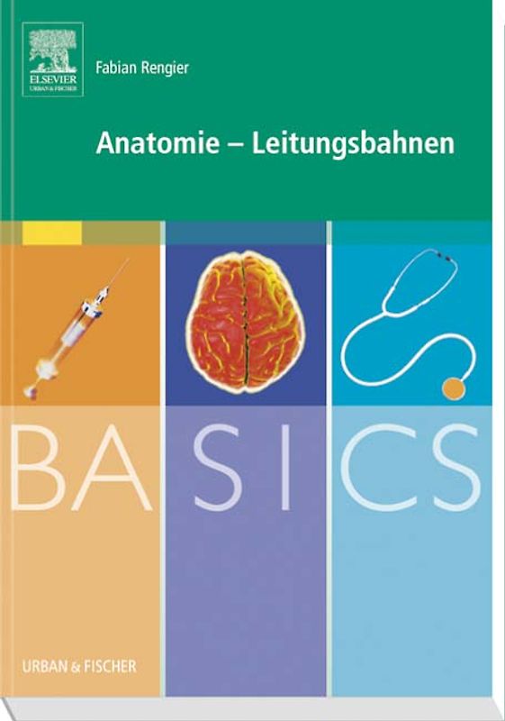 BASICS Anatomie - Leitungsbahnen