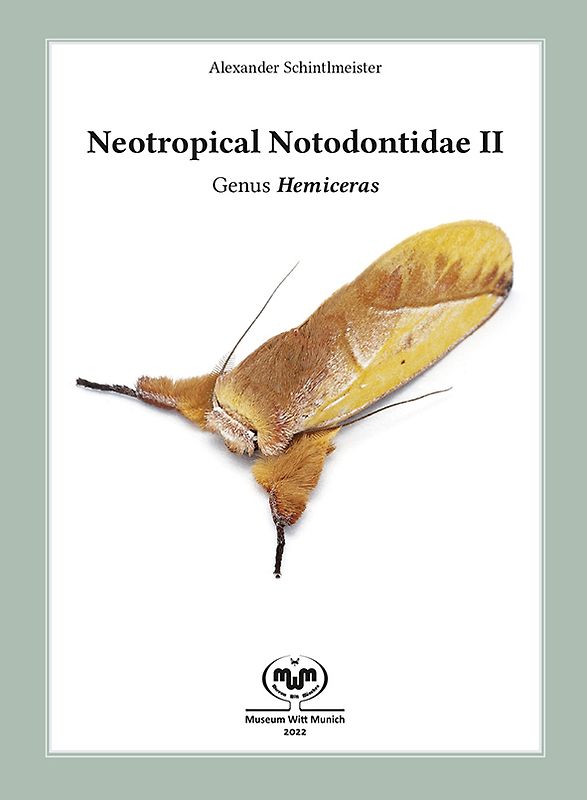 Neotropical Notodontidae II