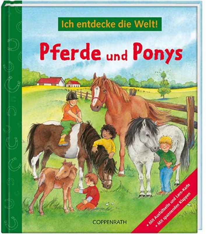Pferde und Ponys