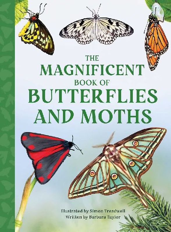 The Magnificent Book of Butterflies & Moths