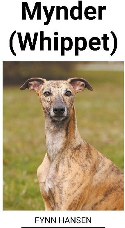 Mynder (Whippet)
