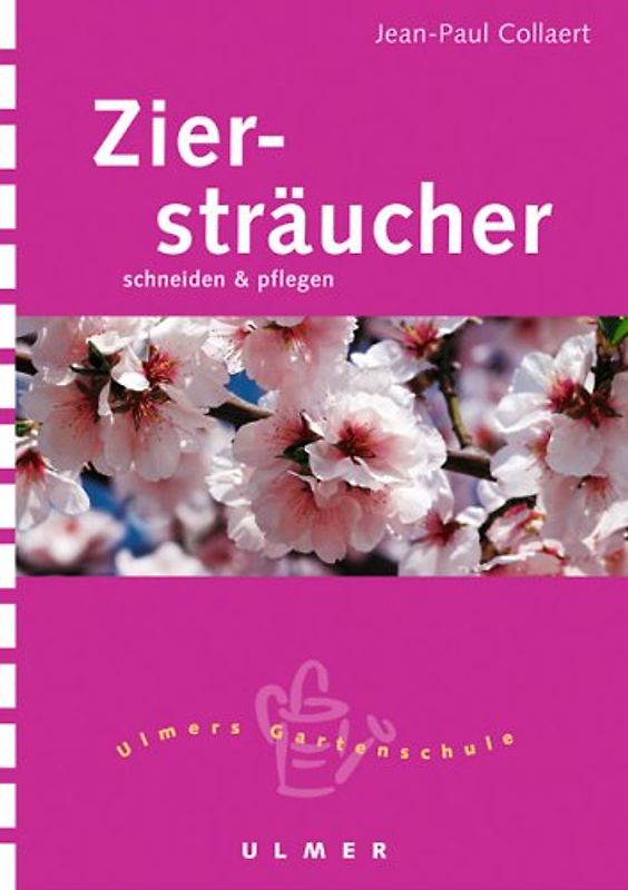 Ziersträucher. Schneiden und pflegen