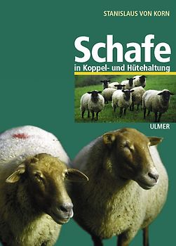 Schafe in Koppel- und Hütehaltung