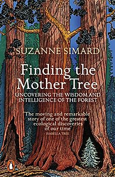 Finding the Mother Tree: Uncovering the Wisdom and Intelligence of the Forest