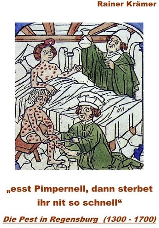 Die Pest in Regensburg (1300 - 1700)
