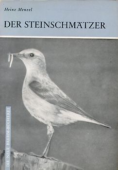 Der Steinschmätzer