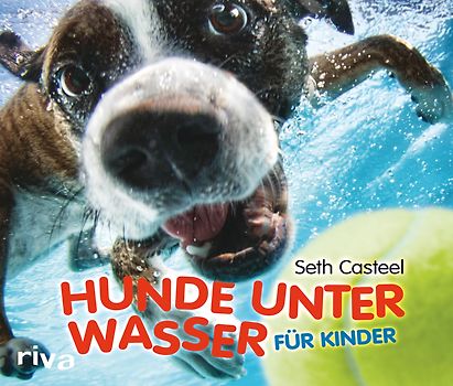 Hunde unter Wasser für Kinder