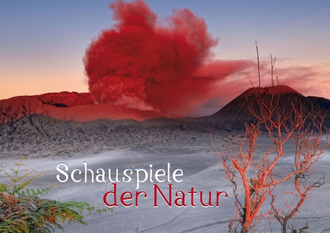 Schauspiele der Natur (Posterbuch DIN A3 quer)