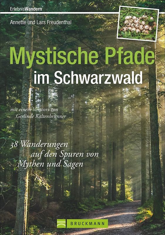 Mystische Pfade Schwarzwald