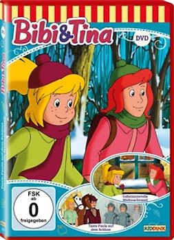 Geheimnisvolle Weihnachtszeit DVD
