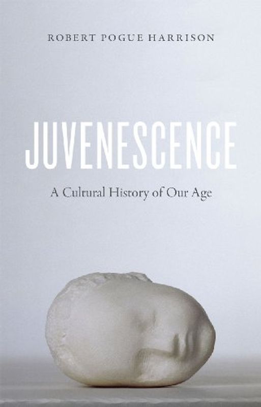 Juvenescence: A Cultural History of Our Age (Emersion: Emergent Village resources for communities of faith)