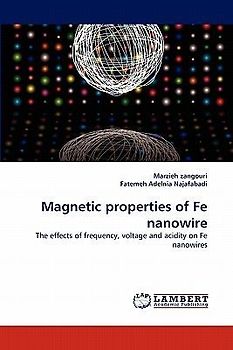 Magnetic properties of Fe nanowire