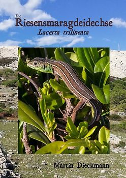 Die Riesensmaragdeidechse