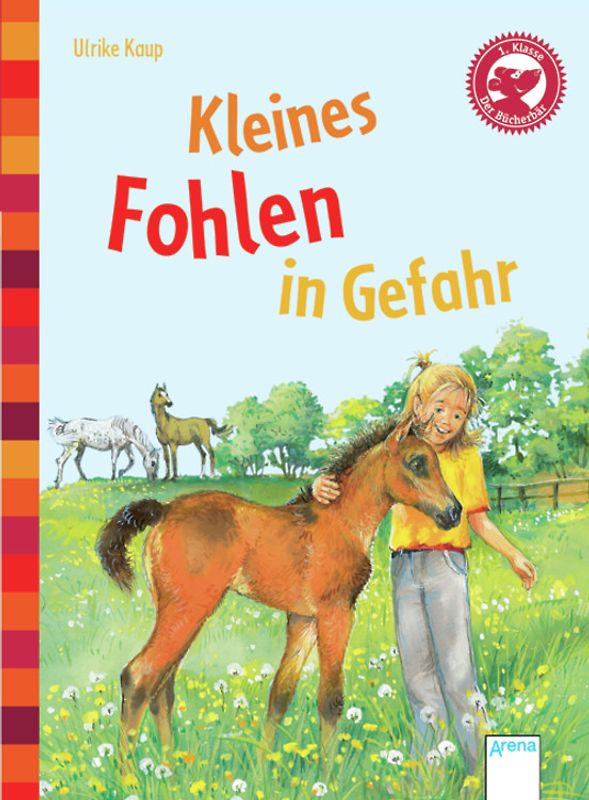 Kleines Fohlen in Gefahr