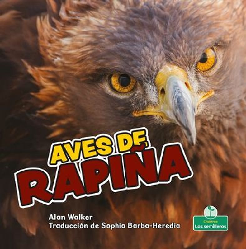 Aves de Rapiña (Birds of Prey)