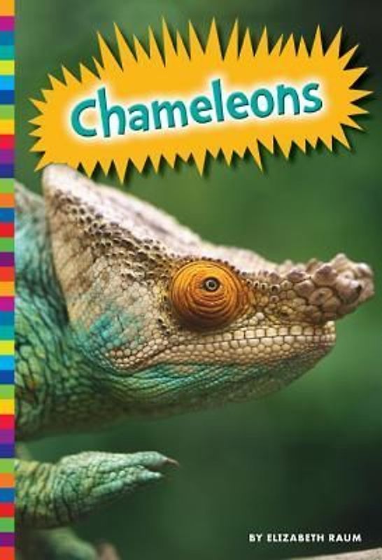 Chameleons