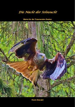 Die Nacht der Sehnsucht