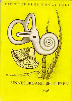 Sinnesorgane bei Tieren