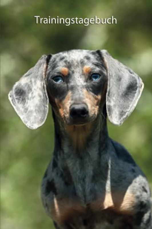 Trainingstagebuch: Amerikanischer Zwergdackel - mit Vorlagen schnell und übersichtlich das Hundetraining dokumentieren