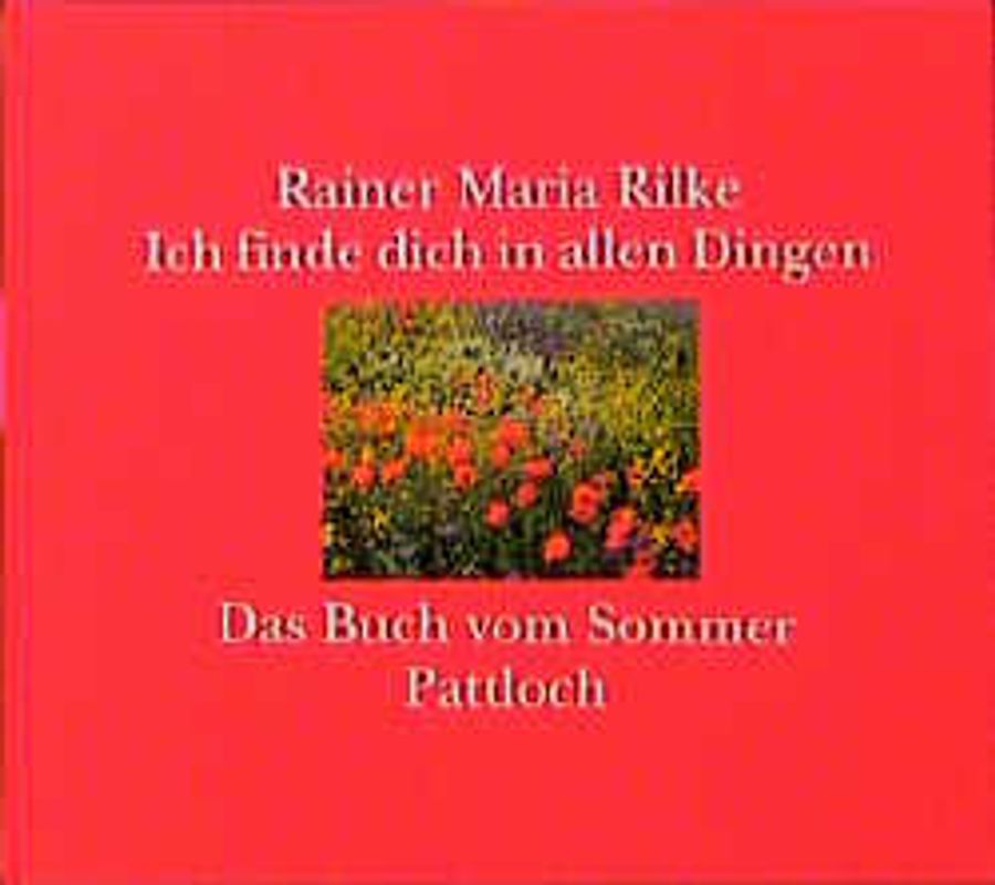 Ich finde dich in allen Dingen. Das Buch vom Sommer