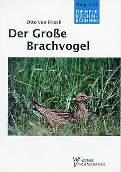 Der Grosse Brachvogel