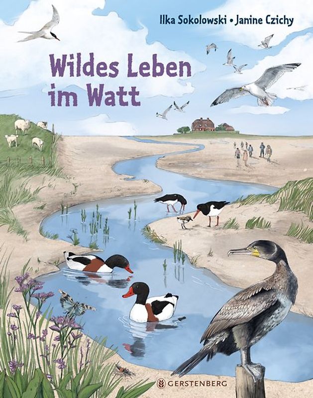 Wildes Leben im Watt